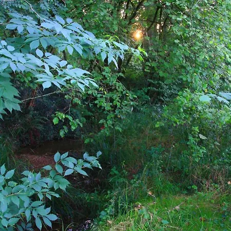 Prázdninový dům 2 Gites 4 Etoiles Pour 2 A 4 Personnes Et Jusqu'a 10 Personnes, Entre Bearn, Pays Basque Et Chalosse Bonnut